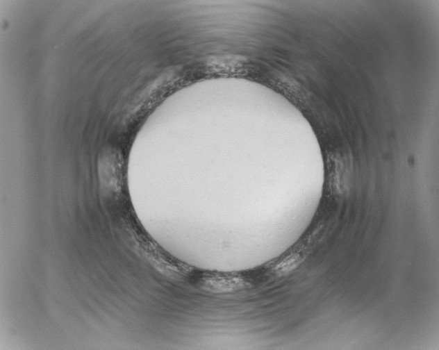 X0000052970712200507221302