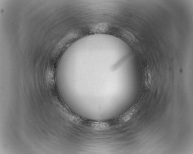 X0000052970714200507221302