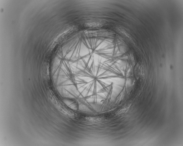 X0000052970733200507221301