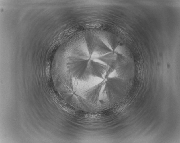 X0000052970745200507221302