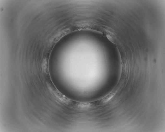 X0000052970767200507221302