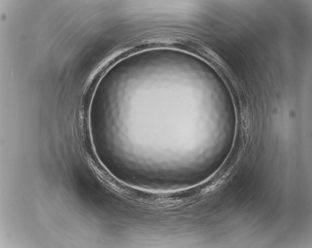 X0000052970779200507221301