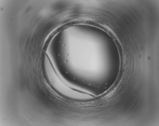 X0000052970783200507221301