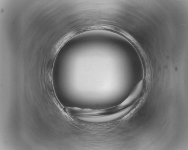 X0000052970809200507221301
