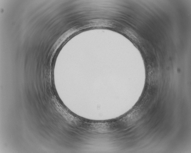 X0000052970836200507221300
