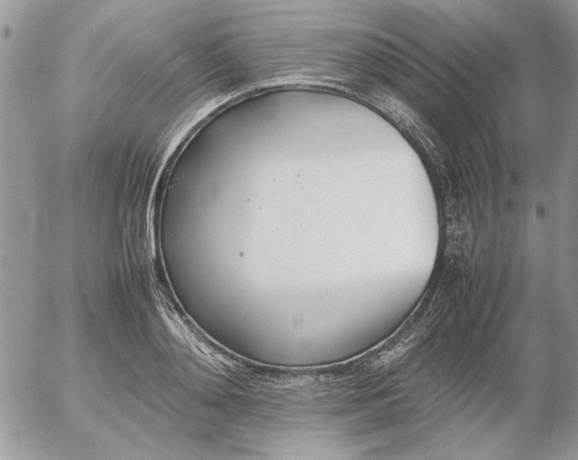 X0000052970892200507221259