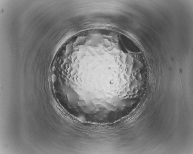 X0000052970899200507221259