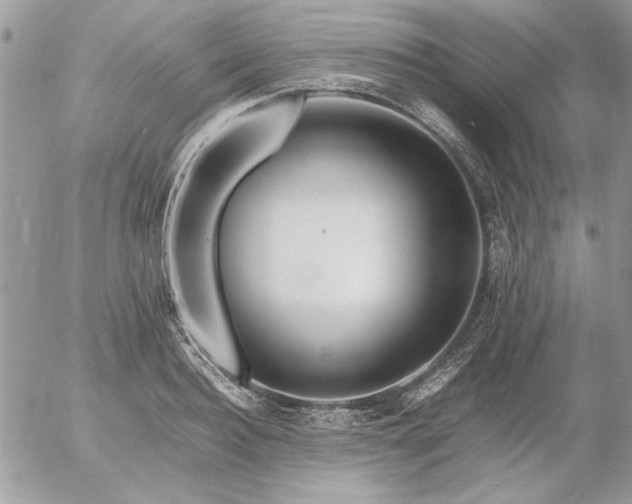 X0000052970940200507221259
