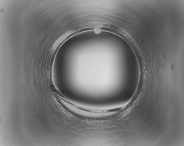 X0000052971081200507221256