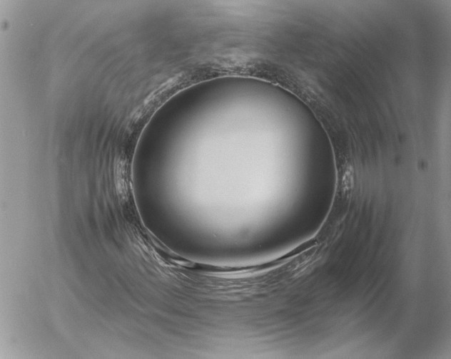 X0000052971156200507221255