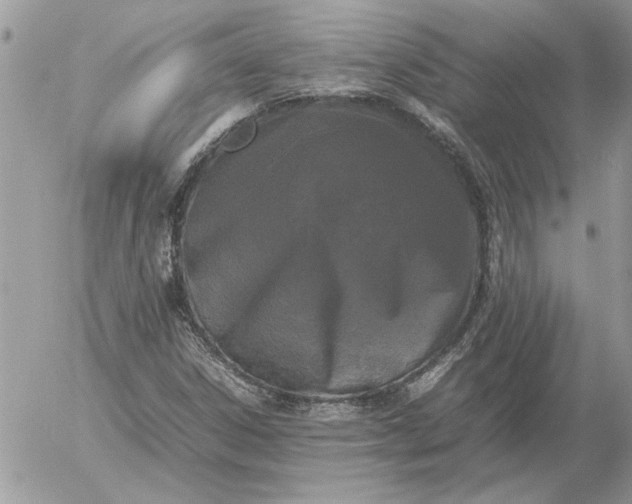 X0000052971306200507221252
