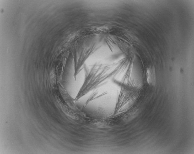 X0000052971395200507221250