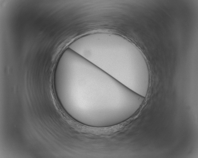 X0000052970001200507300149