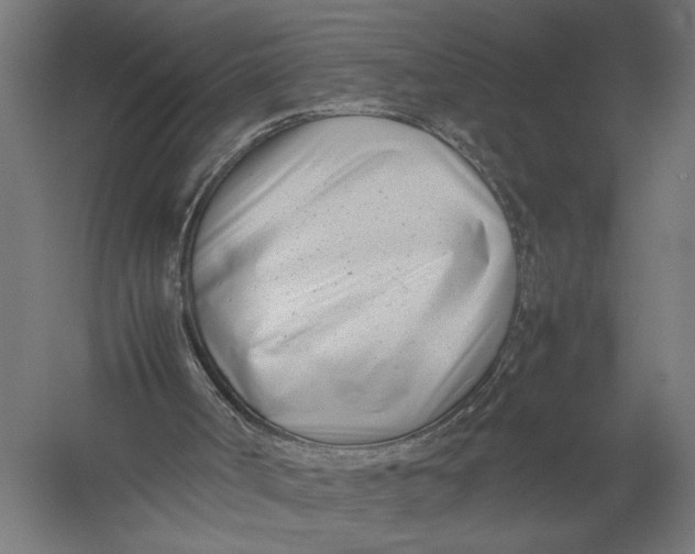 X0000052970002200507300149