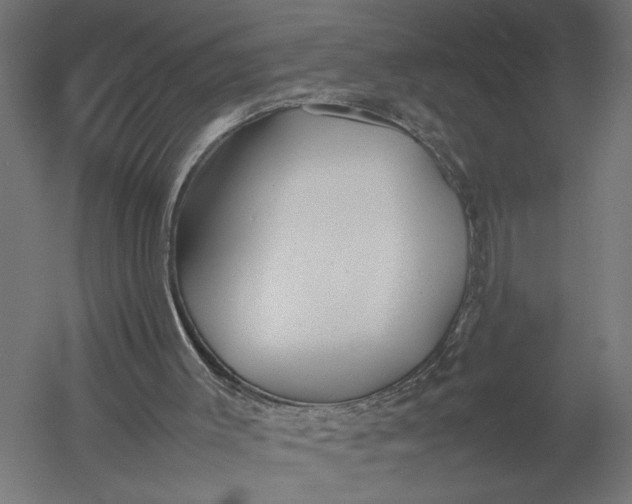 X0000052970003200507300149