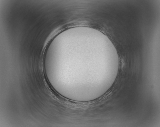 X0000052970004200507300149