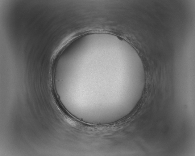 X0000052970005200507300149