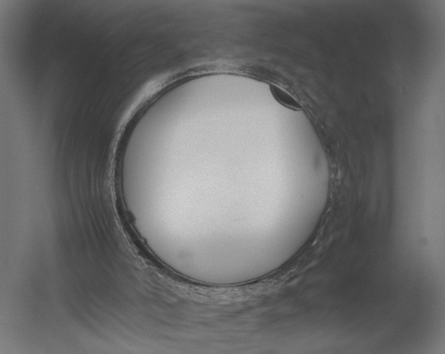 X0000052970006200507300149