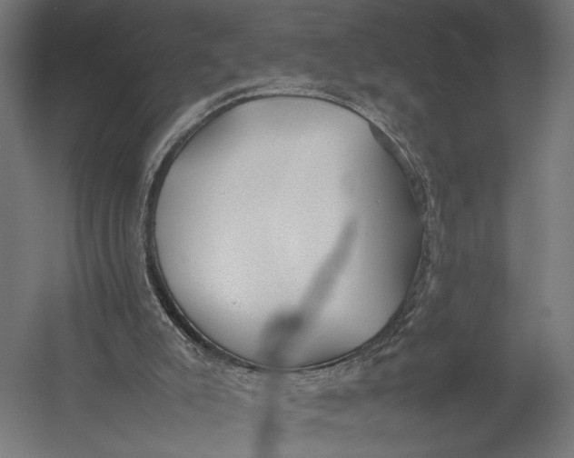 X0000052970007200507300149