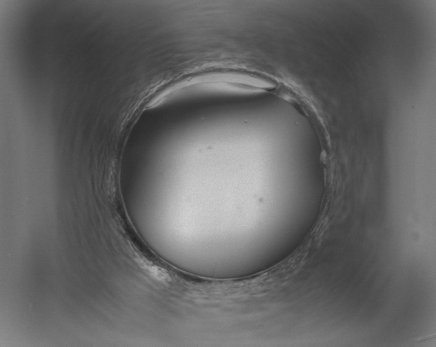 X0000052970009200507300149