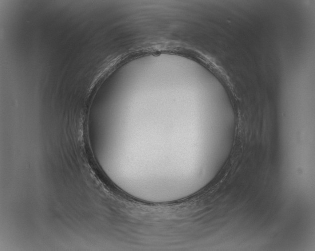 X0000052970010200507300149