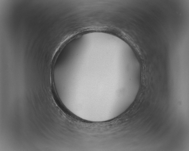 X0000052970011200507300149