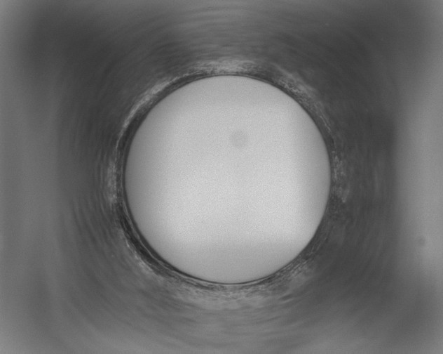 X0000052970012200507300149