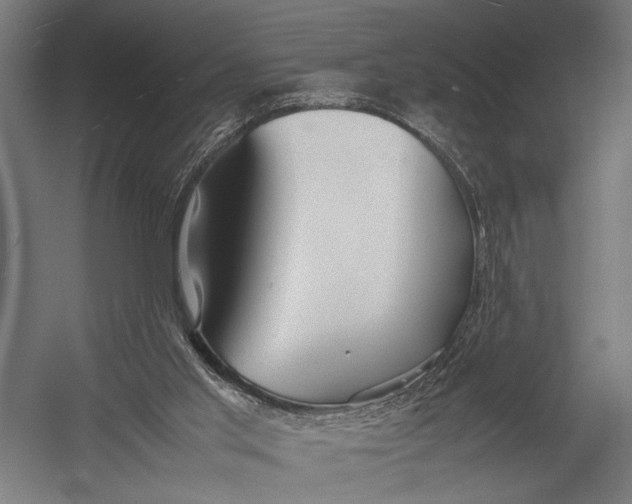 X0000052970013200507300149