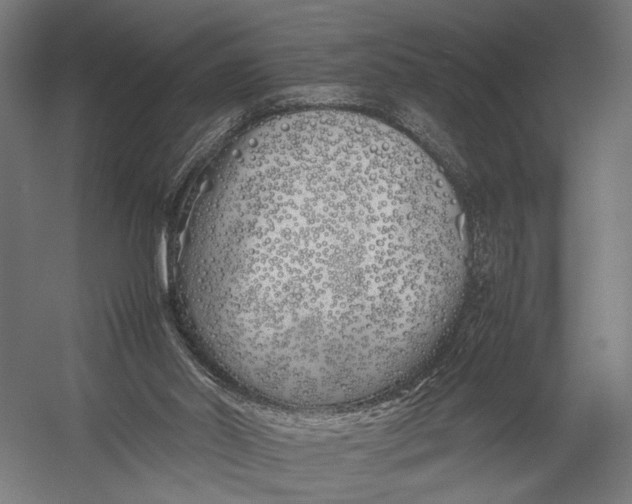 X0000052970014200507300149