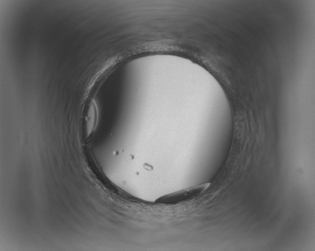 X0000052970015200507300149