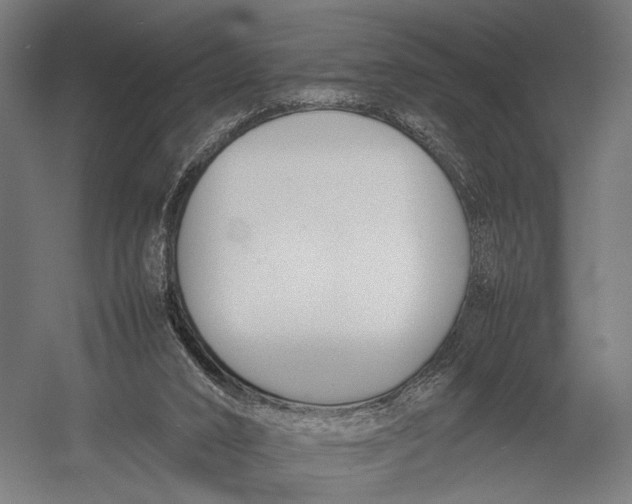 X0000052970016200507300149