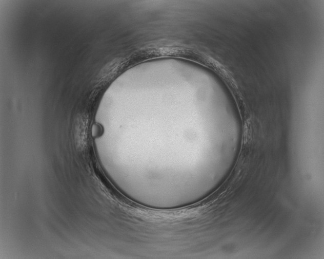 X0000052970018200507300149