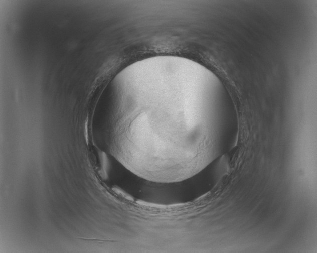 X0000052970019200507300149