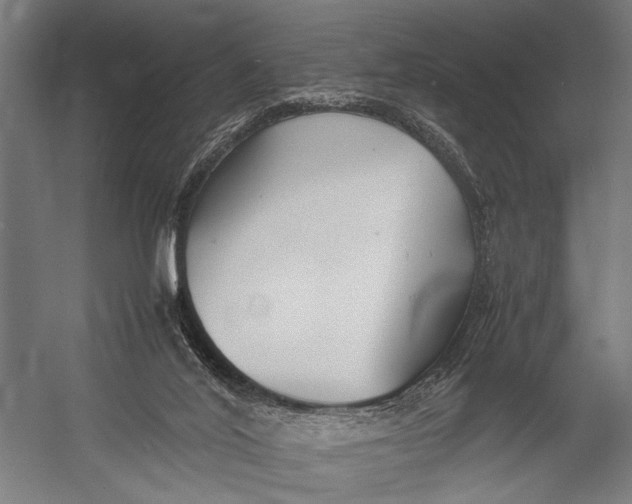 X0000052970020200507300149