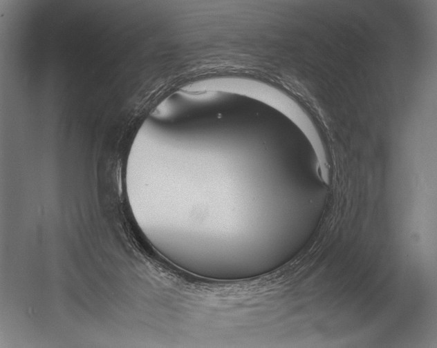 X0000052970021200507300149