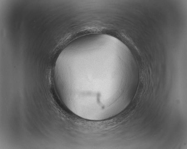 X0000052970023200507300149