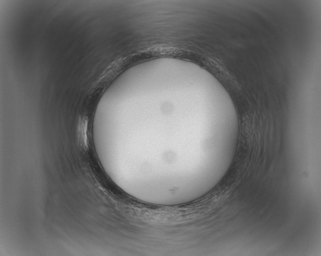 X0000052970024200507300149