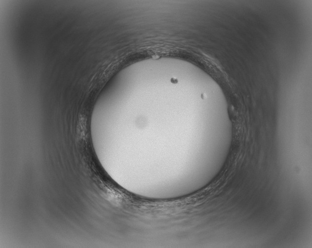 X0000052970025200507300149