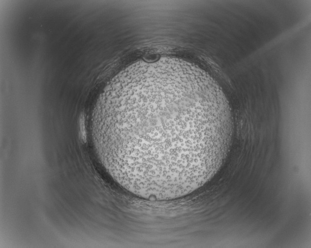 X0000052970026200507300149