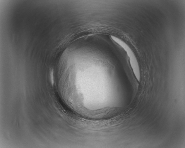 X0000052970027200507300149