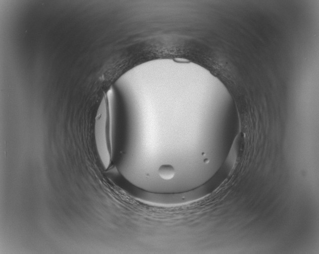 X0000052970029200507300149