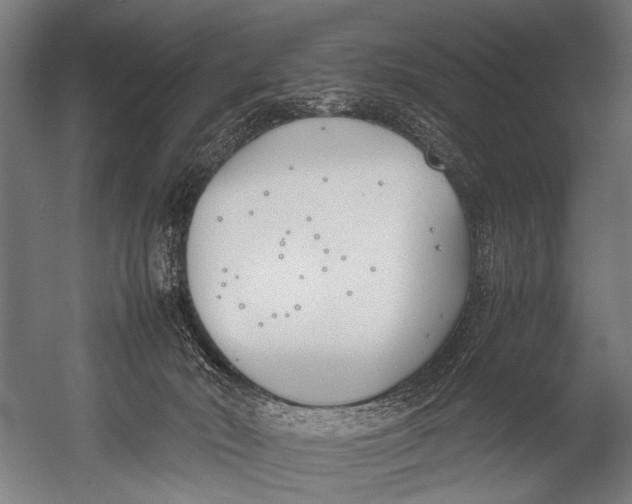 X0000052970030200507300149