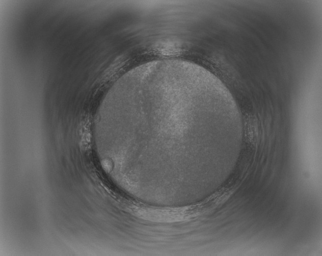 X0000052970032200507300149