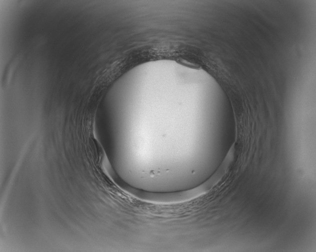 X0000052970033200507300149