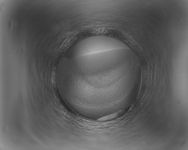 X0000052970035200507300149