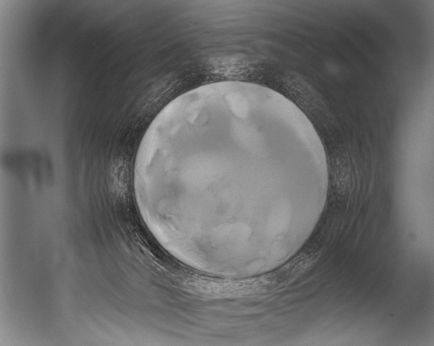 X0000052970036200507300149