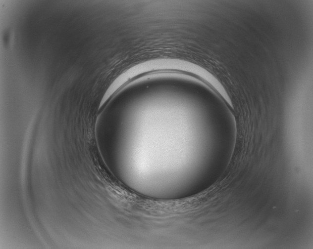 X0000052970037200507300149