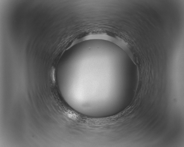 X0000052970041200507300149