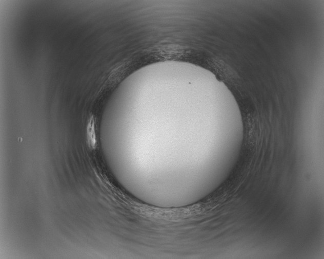 X0000052970042200507300149