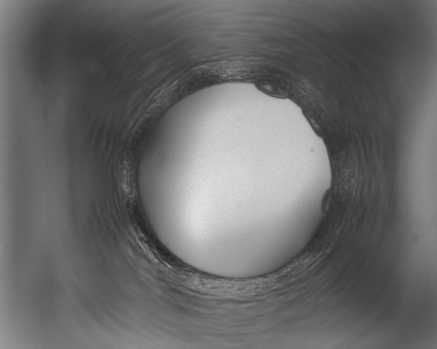 X0000052970044200507300149